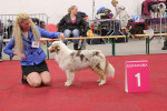 sunny: JEUGD WINSTER 2015 